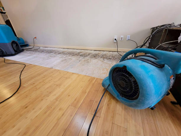 Professional Water Removal technician working in Antwerp, OH